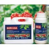 当归/黄精/重楼/白芨什么时间施肥好?