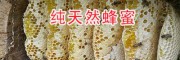 云南丽江纯正土蜂蜜-新开割蜂蜜销售