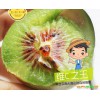 猕猴桃高产种植技术资料大全_附猕猴桃价格大全