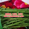 李子树怎么栽培_李子怎样种植客服