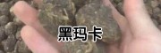 黑玛卡怎么吃_黑玛卡饮料很畅销
