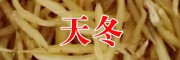 云南哪里有天冬苗卖?
