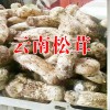 姬松茸有什么功效作用?丽江农特产信息网