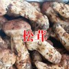 冰冻松茸价格多少钱一斤?