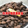 10亩草果地值多少钱