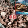 重楼草药哪里买呢?