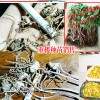 云南/玉林/亳州/安国独角莲(重楼)价格表