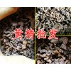 哪里有黄精？哪里收购黄精？名贵黄精供应