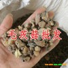 毛慈菇(山慈菇)统货售价在多少?
