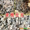 鸡头黄精,黄鸡菜价格