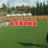 草坪交易市场_草坪多少钱一平方?