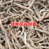 2018续断苗多少钱一株?,中药续断市场价格卖多少钱一斤?