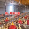 云南大理火鸭价格一斤?_火鸭苗批发多少钱一只?