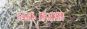 石斛价格/ 市场均价/河北安国/ 安徽毫州/ 广西玉林