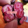 红果参种苗多少钱一棵?_红果参能卖多少钱一斤?