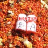 重楼种子如何催芽播种- 滇重楼如何催芽处理