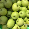 德阳市哪里有昭通苹果|昭通果业基地|13887043679