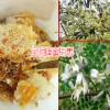 云南临沧市土蜂蜜多少钱?_2018土蜂蜜价格网