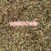 保山/文山/昆明/丽江红河建水金铁锁种子销售批发价格