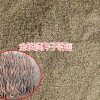 七龙散胶囊必需的中药材原料-红河建水金铁锁种子供应