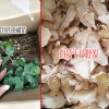 白及种苗多少钱一颗?种植一亩白及需要多少白芨种苗?
