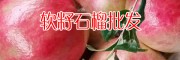 云南软籽石榴图片_云南软籽石榴-采购13769217896