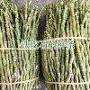云南石斛供货商厂家_云南石斛/云南石斛多少钱一克?云南石斛功效