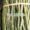 云南的石斛怎么样?_云南石斛怎么样?云南石斛茶怎么泡