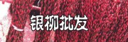 四川银芽柳基地 |广东银柳批发阿里巴巴银柳批发银柳鲜花批发