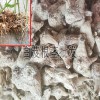 白芨干货如何加工+白芨干货加工_紫花三叉白芨加工干货