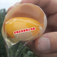 土鸡蛋订购_土鸡蛋市场_土鸡蛋多少钱?