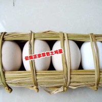 云南农家散养土鸡蛋_云南十八怪之土鸡蛋