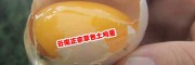 土鸡蛋多少钱一个?文山富宁土鸡