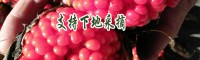 值得提倡的重楼种植技术