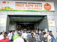 2019广州·世界水果博览会
