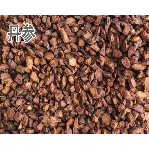 丹参苗供应_丹参苗供应商_丹参种苗供应