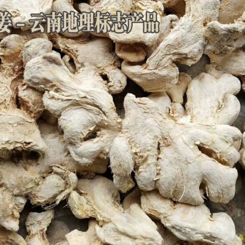 罗平今日姜价多少