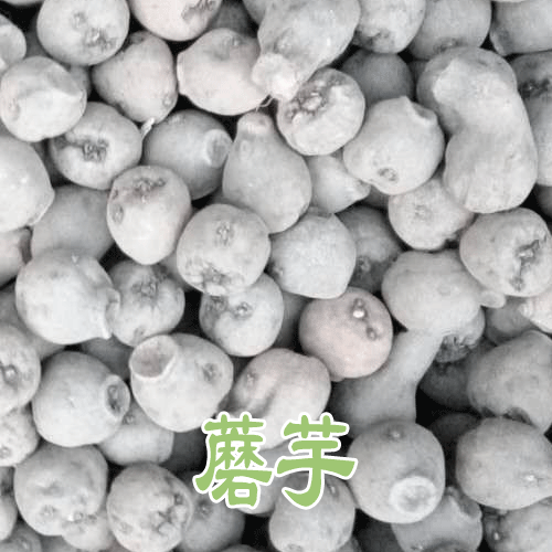 魔芋播种方法——丽江市大安乡黑花杆蘑芋种植基地