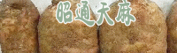 天麻怎么吃?_天麻炖鸽子-昭通天麻公司
