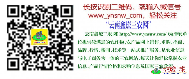 QQ图片20181106182835