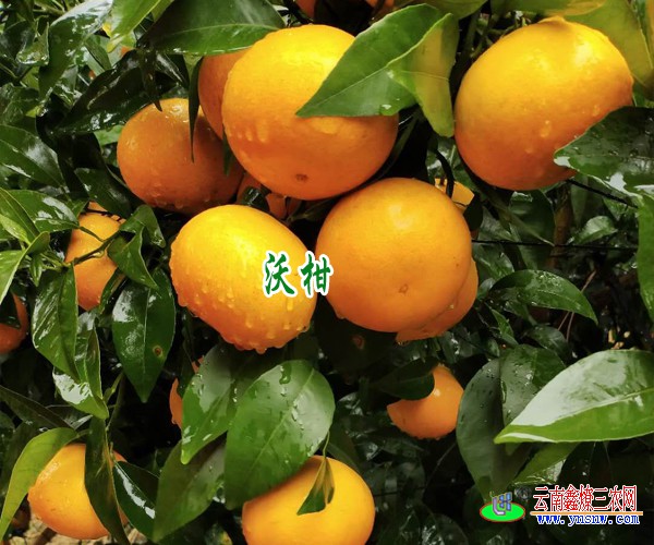 未标题-1