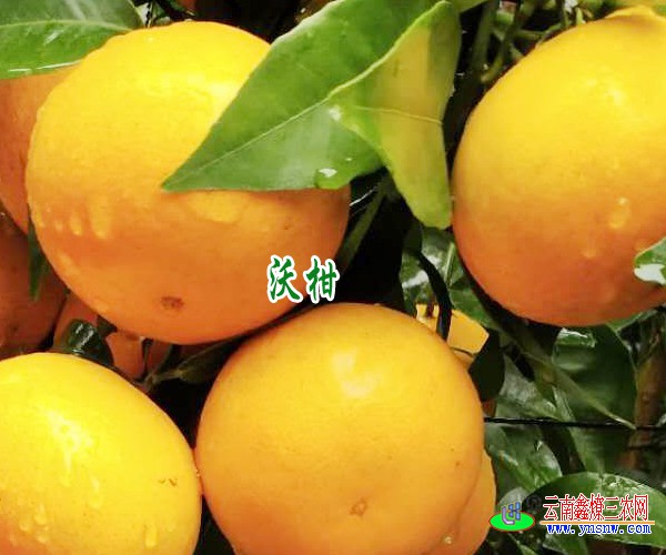 未标题-155554