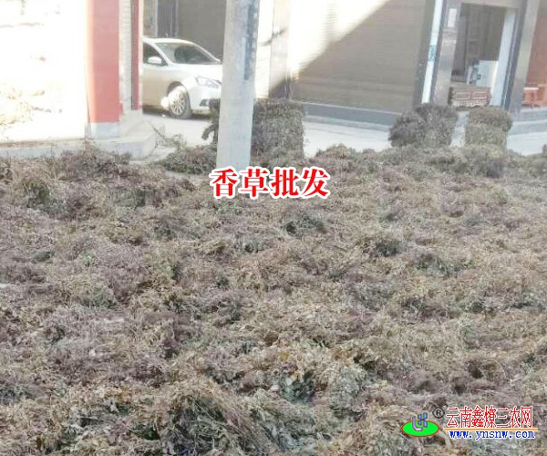 未标题-3