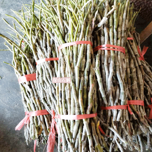 铁皮石斛怎么吃好?_云南石斛种植基地_云南石斛图片
