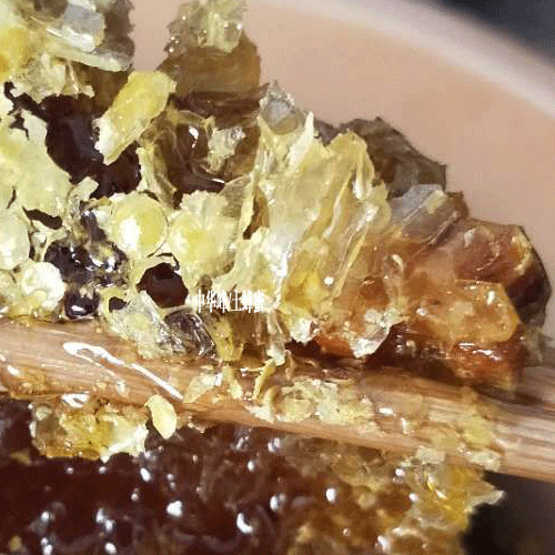 中华蜜蜂又叫中华蜂图片