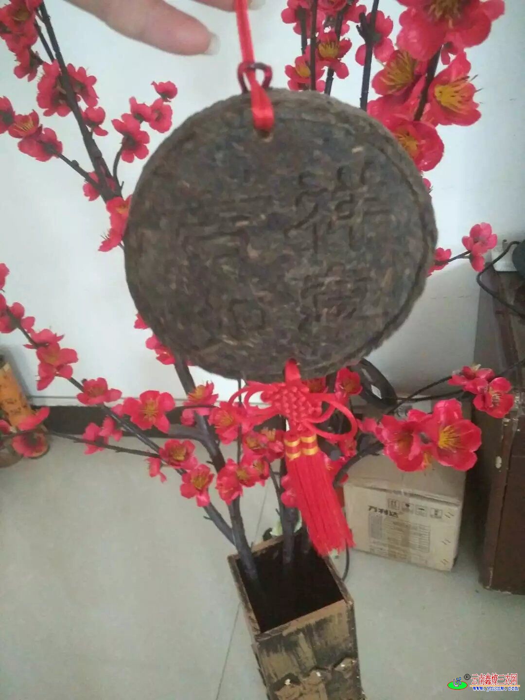 QQ图片20160516221317