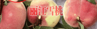 丽江人的朋友圈刷图多的是什么?雪桃!