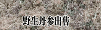 丹参直播什么时候好?