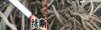续断是什么?怎么吃才好?