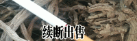 续断直播每亩用种多少?
